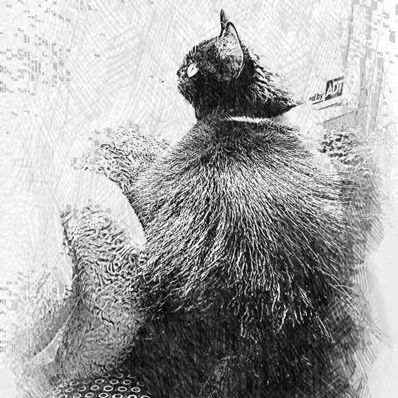 Meet your Posher, Caeli - Picture 14 of 16